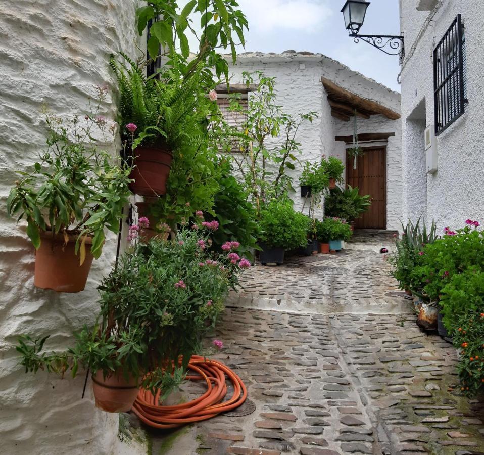 Casa Martina Pampaneira Apartment Bagian luar foto